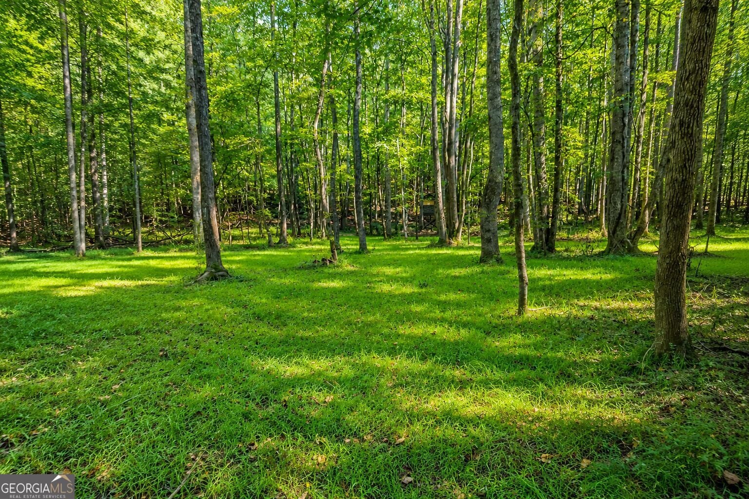 8622 Whitehouse Pkwy, Woodbury, GA 30293