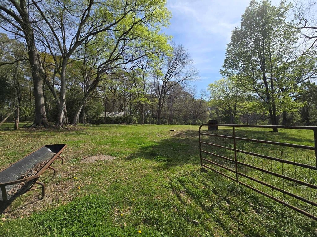 491 Washington Avenue, Talbotton, GA, 31827-2630 — Photo 3