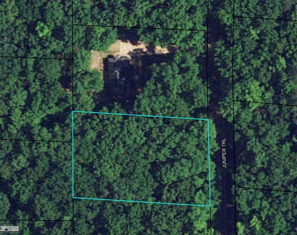 0 Juniper Trail, Waverly Hall, GA, 31831