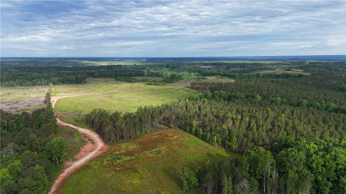 0 COUNTY ROAD 278, Five Points, AL, 36855 — Photo 2