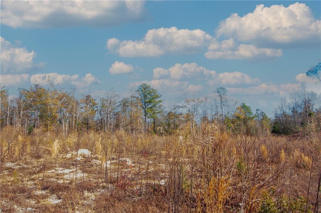 00 Cr-286, Smiths Station, AL, 31890 — Photo 3