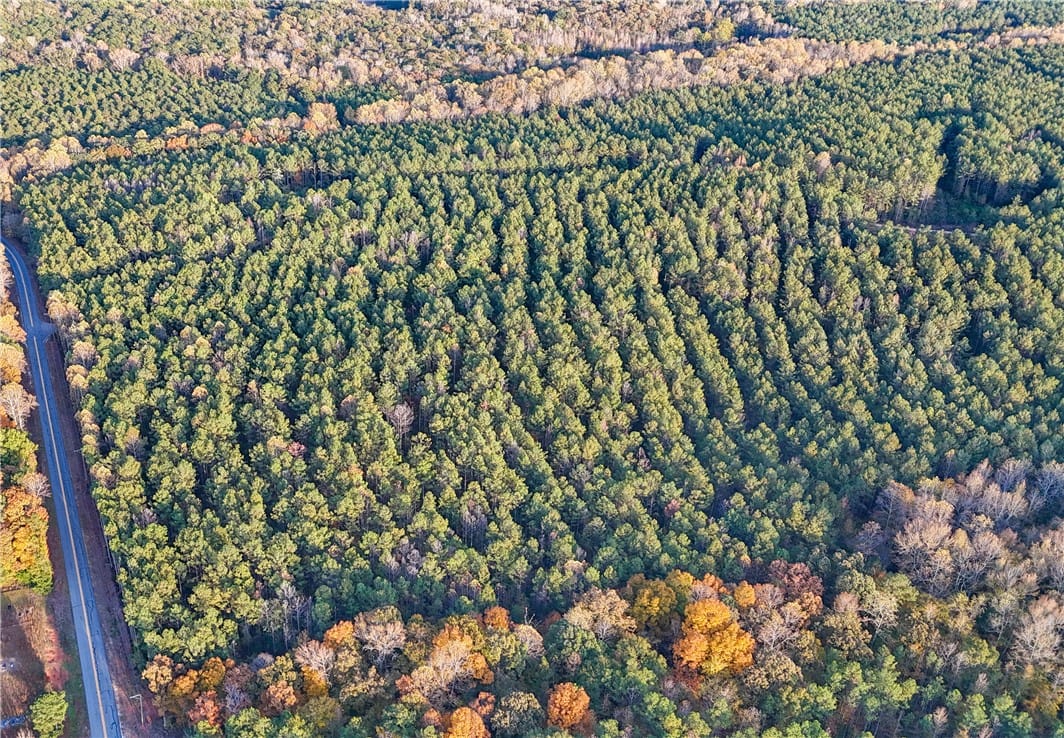 0 COUNTY ROAD 94, Lafayette, AL, 36862