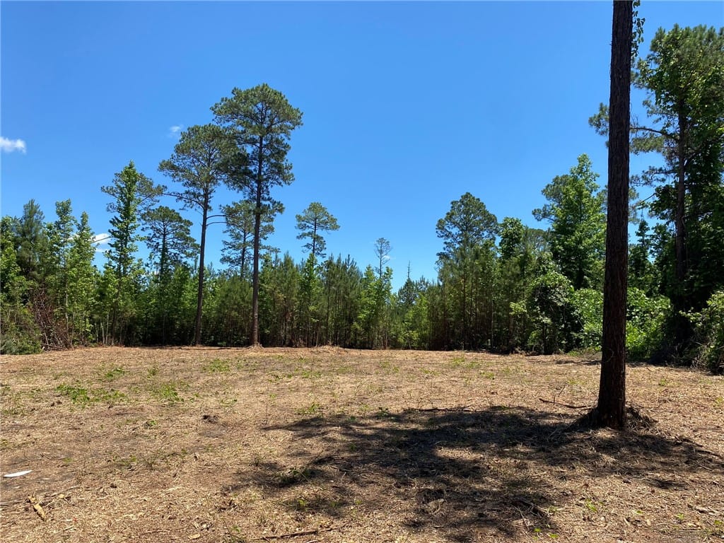 00 LEE ROAD 11, OPELIKA, AL, 36804 — Photo 3