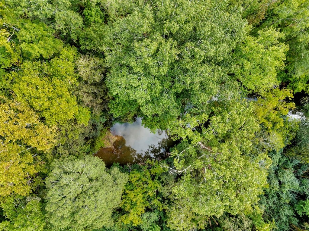 0 Warrior Road, Ohatchee, AL, 36271 — Photo 3