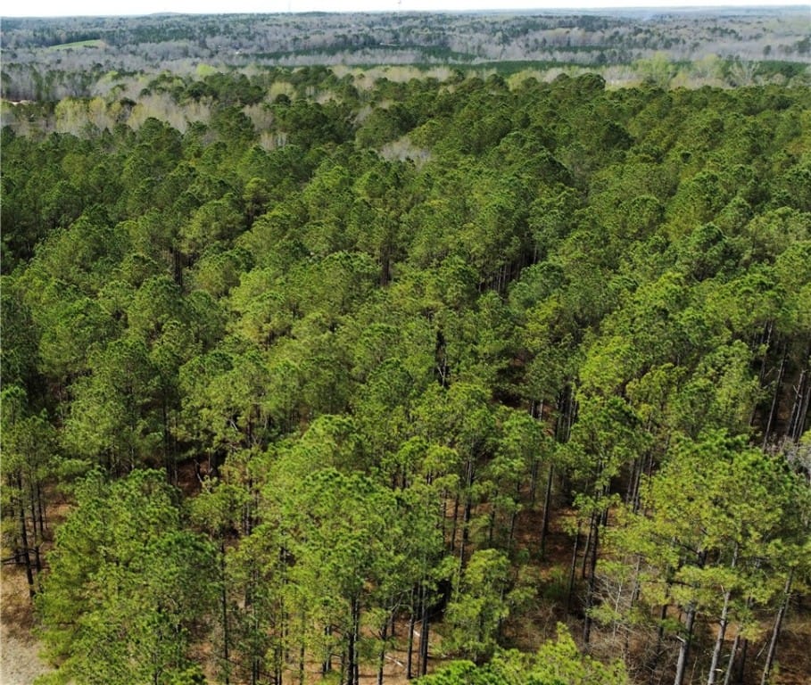 1 LEE ROAD 166, OPELIKA, AL, 36804 — Photo 2