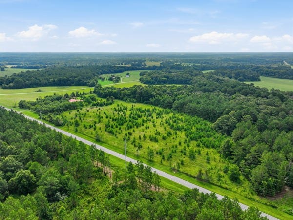 n/a Holman Road, Leslie, GA, 31764