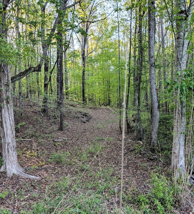 0 Ga Highway 0116, Hamilton, GA, 31811 — Photo 2