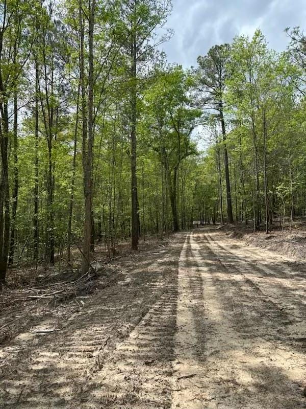 891 Connors Mill Road, Ellaville, GA, 31806