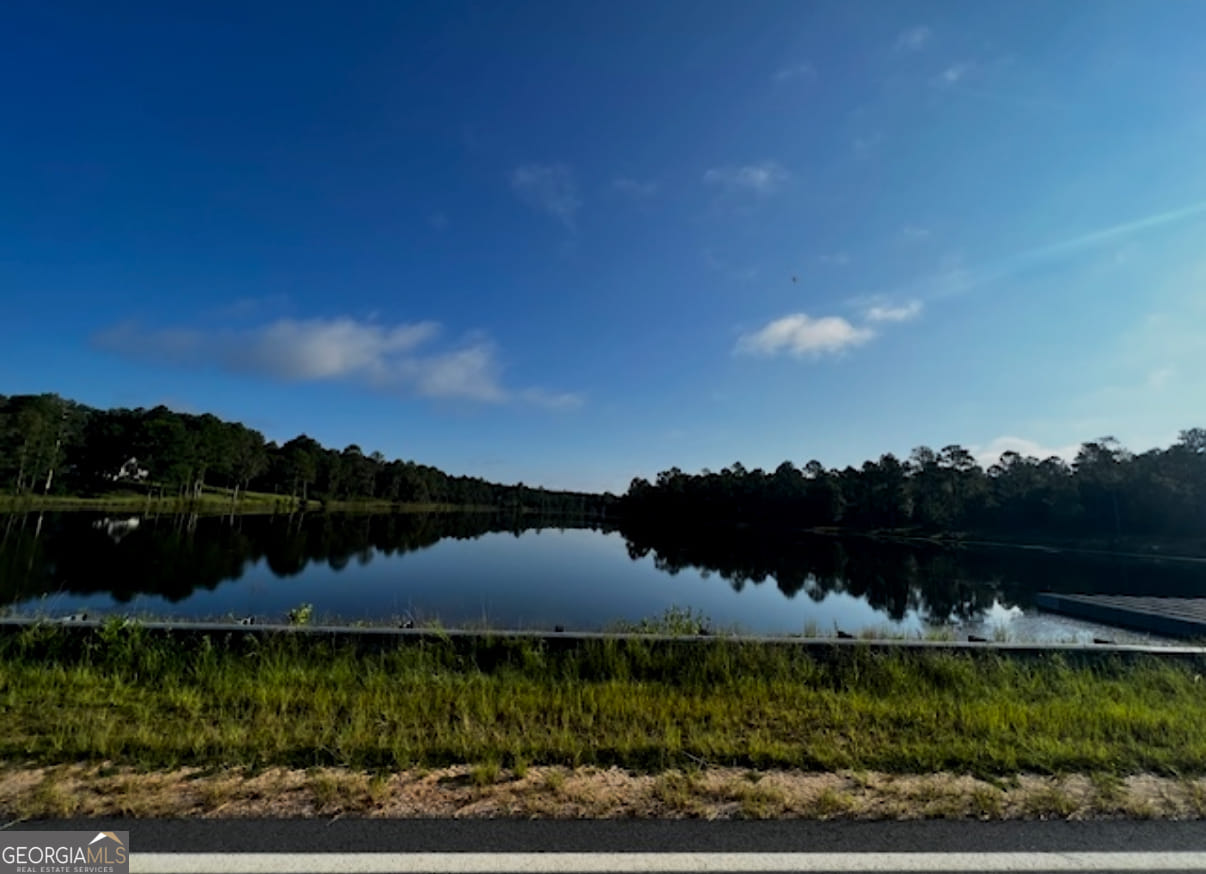 29 Mallard Road, Butler, GA, 31006