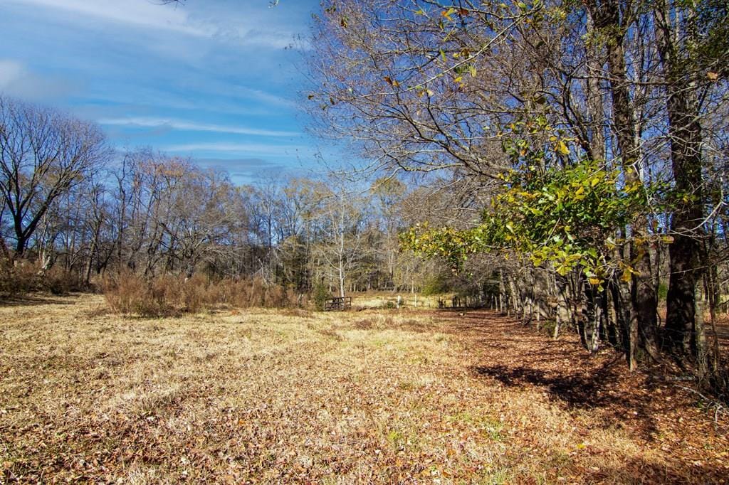 St Paul Church Rd, Shiloh, GA 31826, Main View