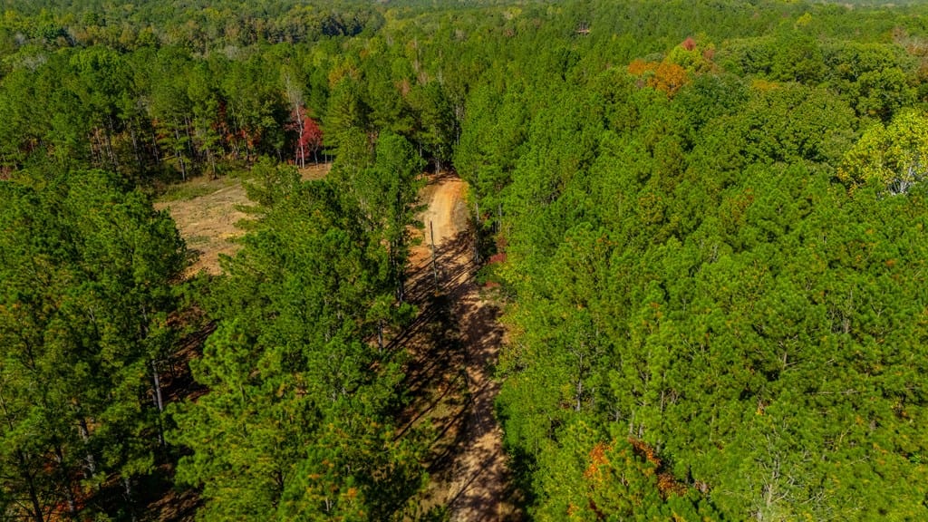 4338 Ga Highway 0036, Woodland, GA, 31836-5732 — Photo 2