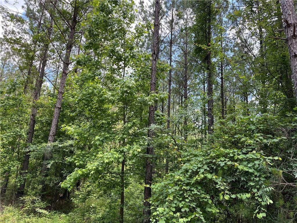 00 Lee Road 333, Salem, AL, 36874