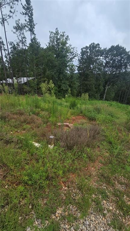 395 Foster Cove Dr, Lineville, AL 36266