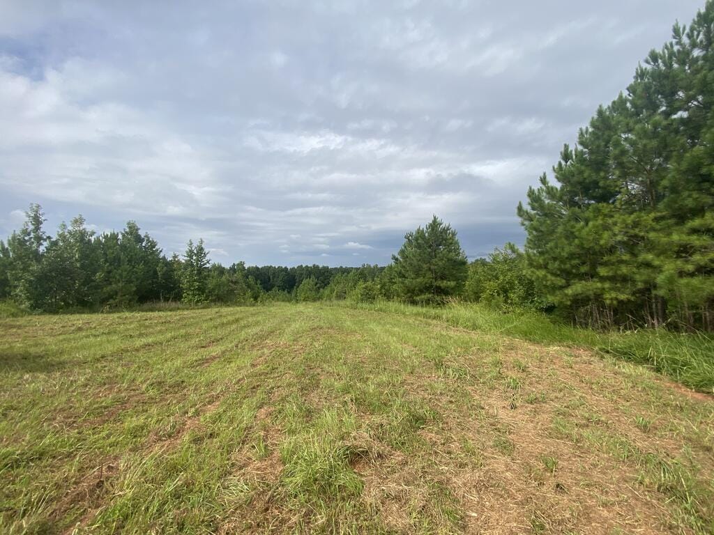 437 Acres Brown Creek Road, Shiloh, GA, 31826