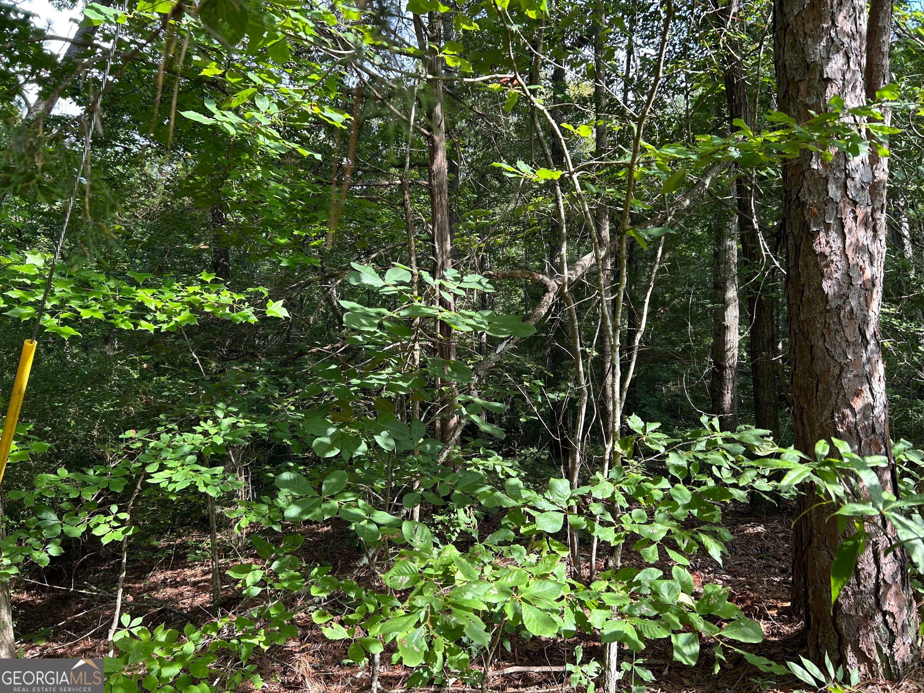 0 County Road 329, Wedowee, AL, 36278