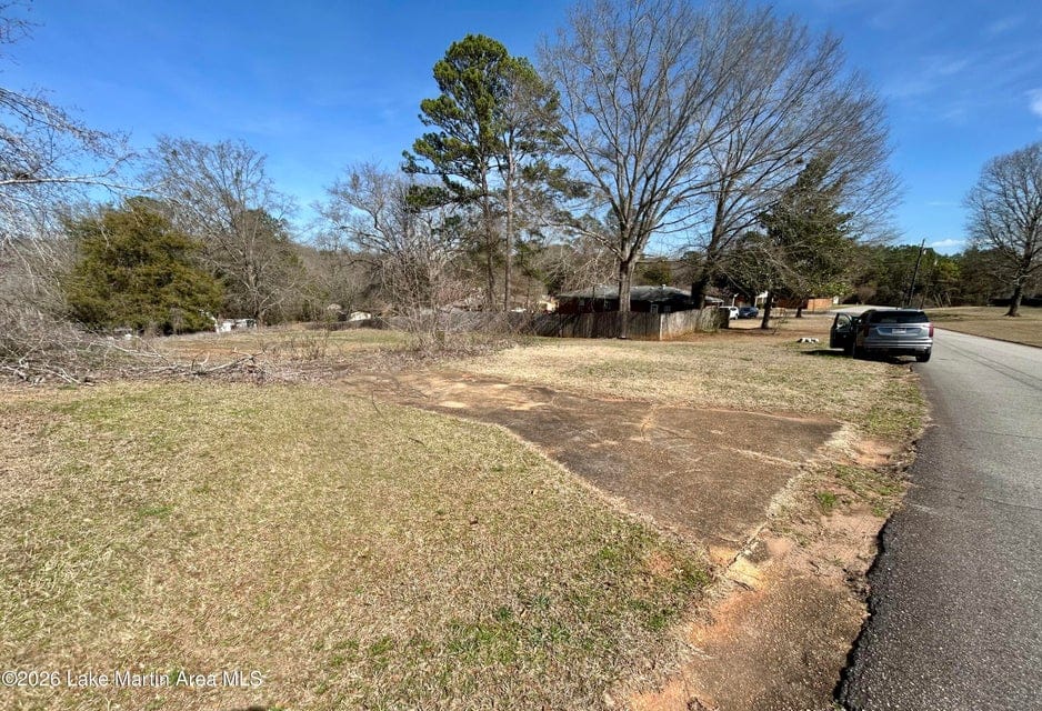 198 McKelvey Street, Dadeville, AL, 36853 — Photo 2
