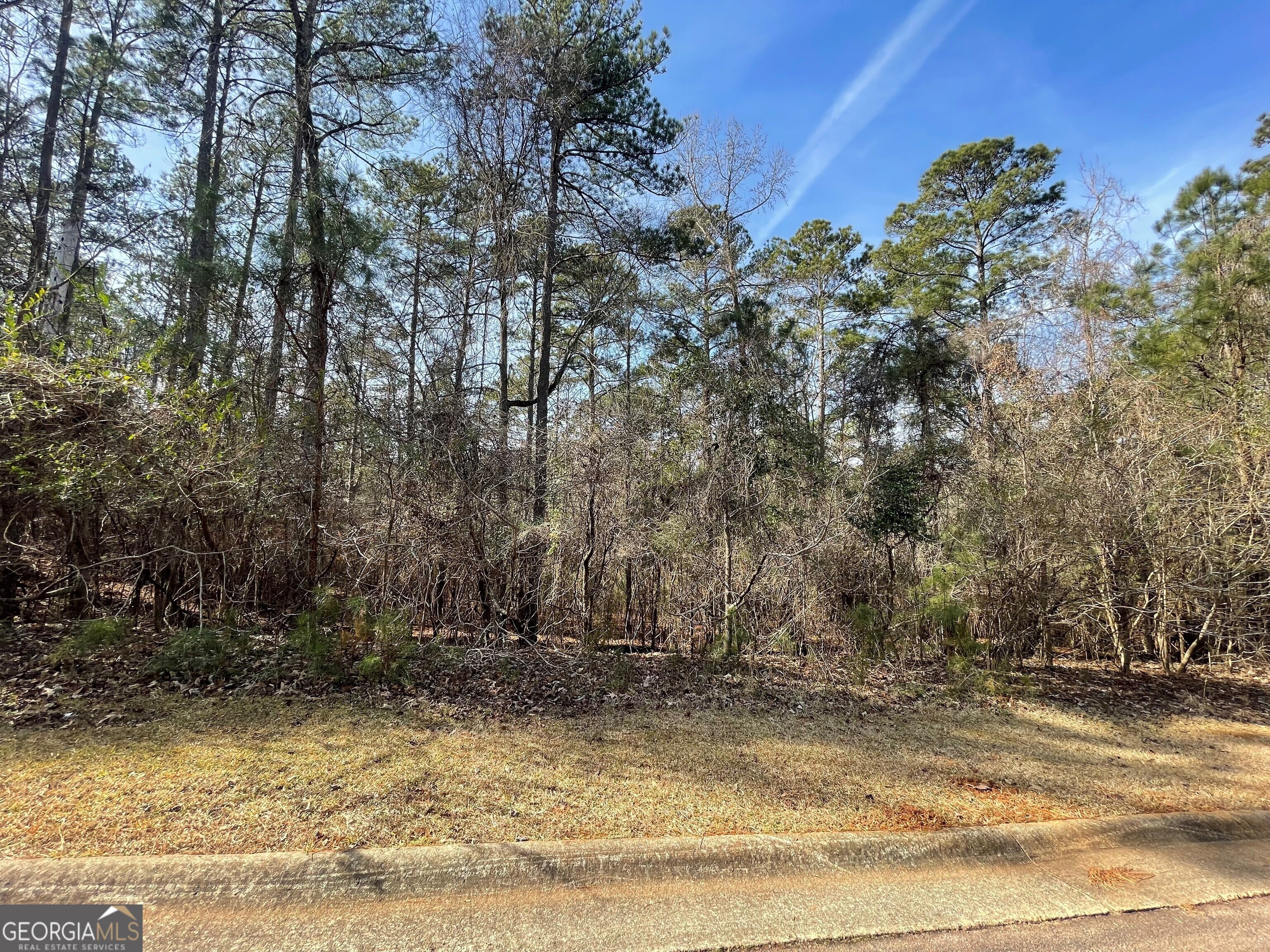 201 West Lakeview Drive, LaGrange, GA, 30240