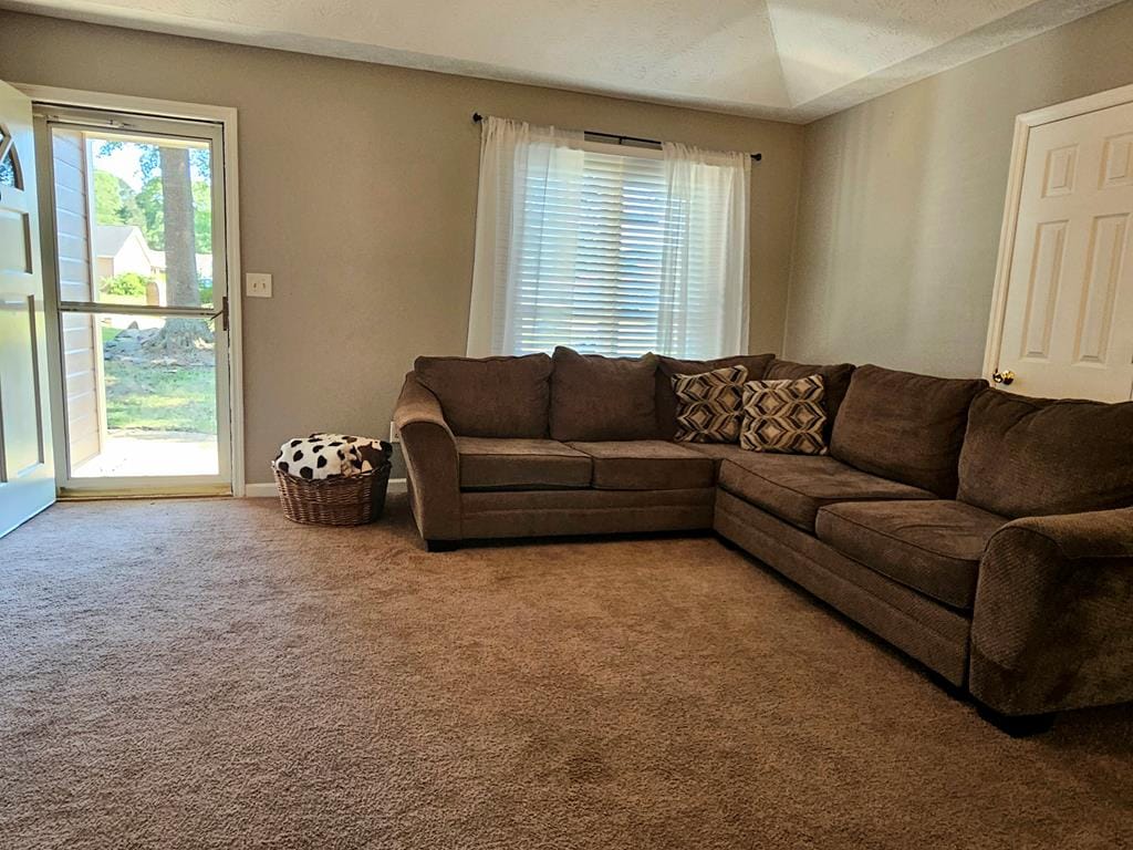294 Lee Road 0917, Phenix City, AL, 36870, Main Entry / Living Room