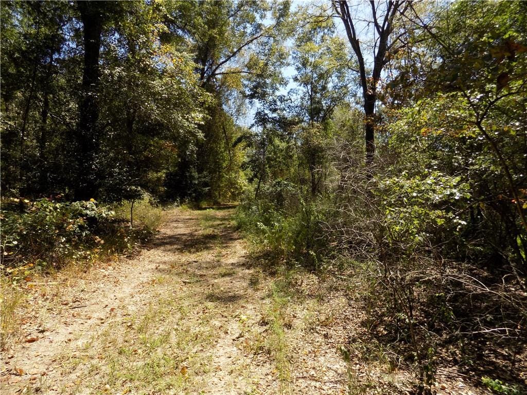 Lot 5 Macon County Road 24, Auburn, AL, 36830 — Photo 3