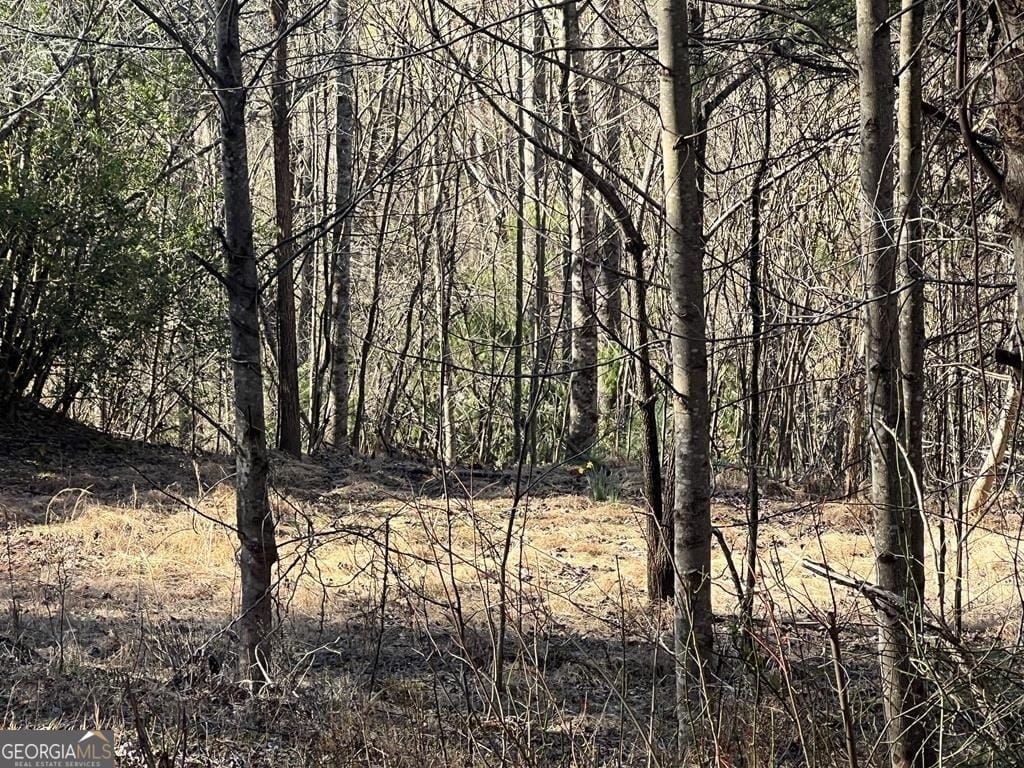 59 Mountain Harbour Drive, Hayesville, NC, 28904