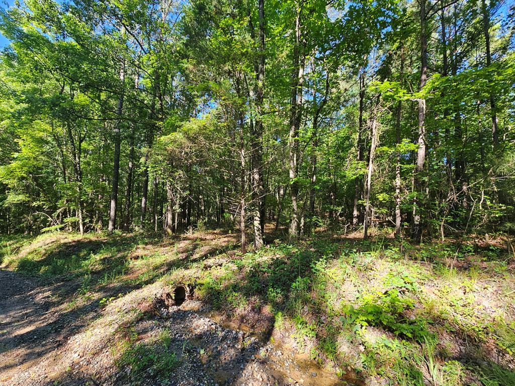 0 Diamond Road, Ellerslie, GA, 31807