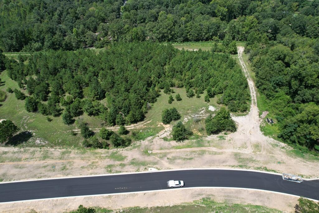 Lot 21 Homestead Lane, Smiths Station, AL, 36877