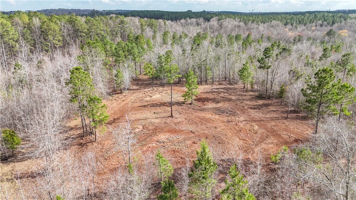 0 COUNTY ROAD 65, Lafayette, AL, 36862 — Photo 3