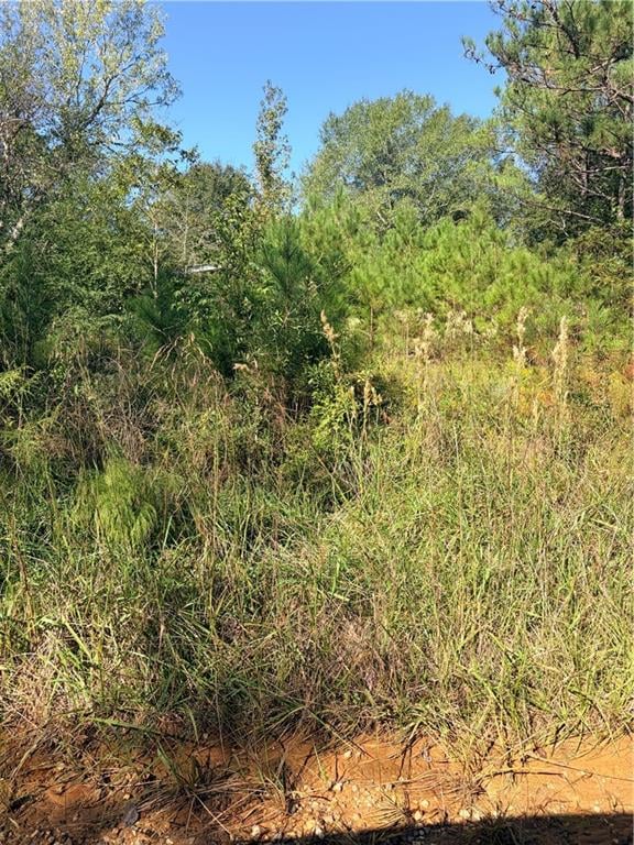 0 McCall Rd, Clayton, AL, 36016
