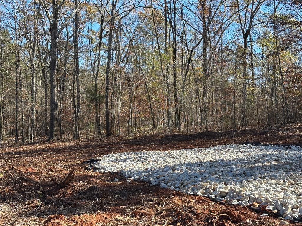 9 Lee Road 345, Salem, AL, 36874