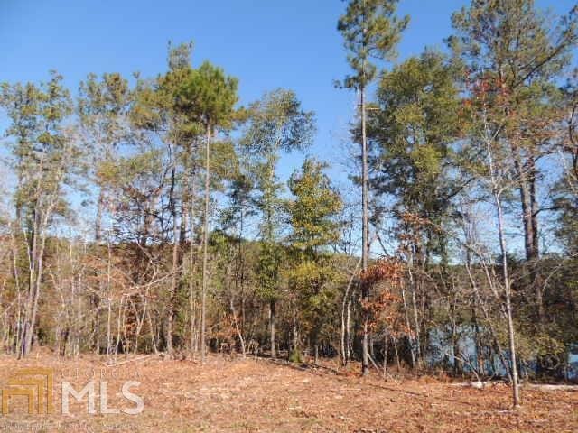 0 Mountain Dr #1, Hamilton, GA 31811