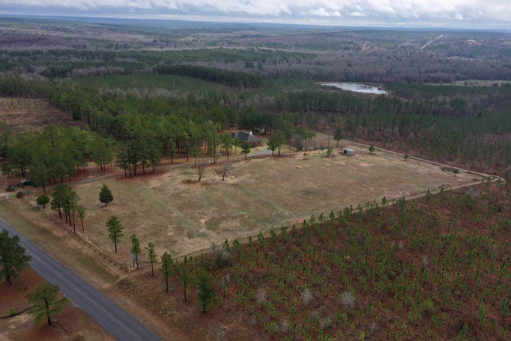 561 Juniper Mill Pond Road, Box Springs, GA, 31801