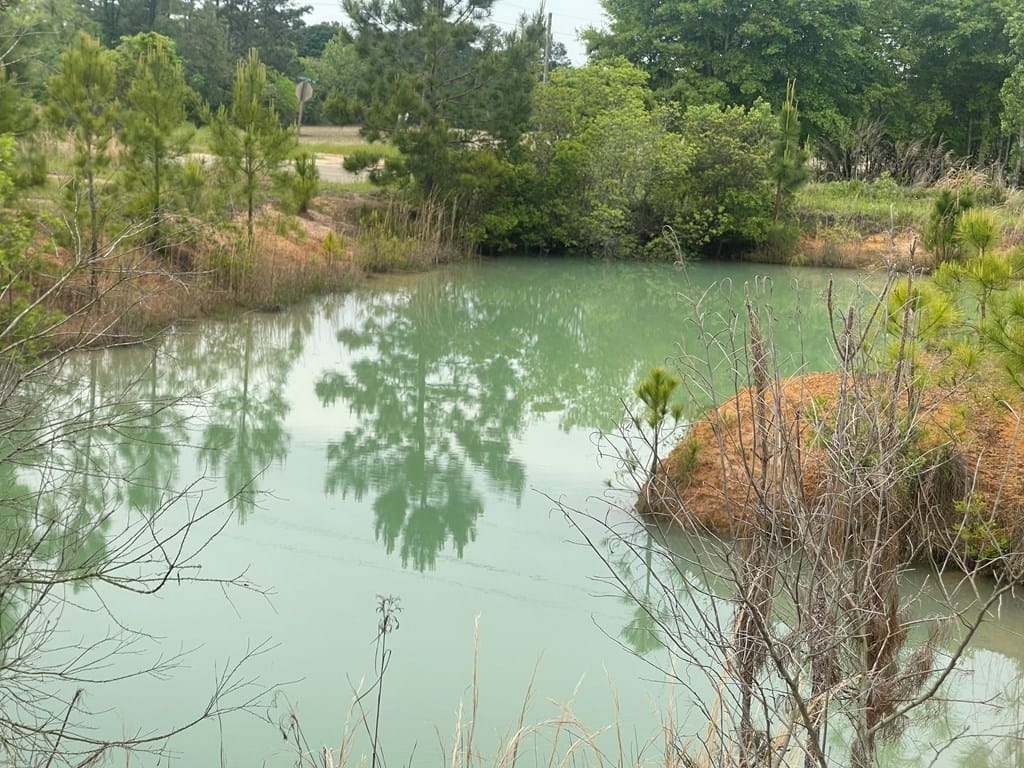 2691 Amboy-Rebecca Road, Rebecca, GA, 31783 — Photo 2