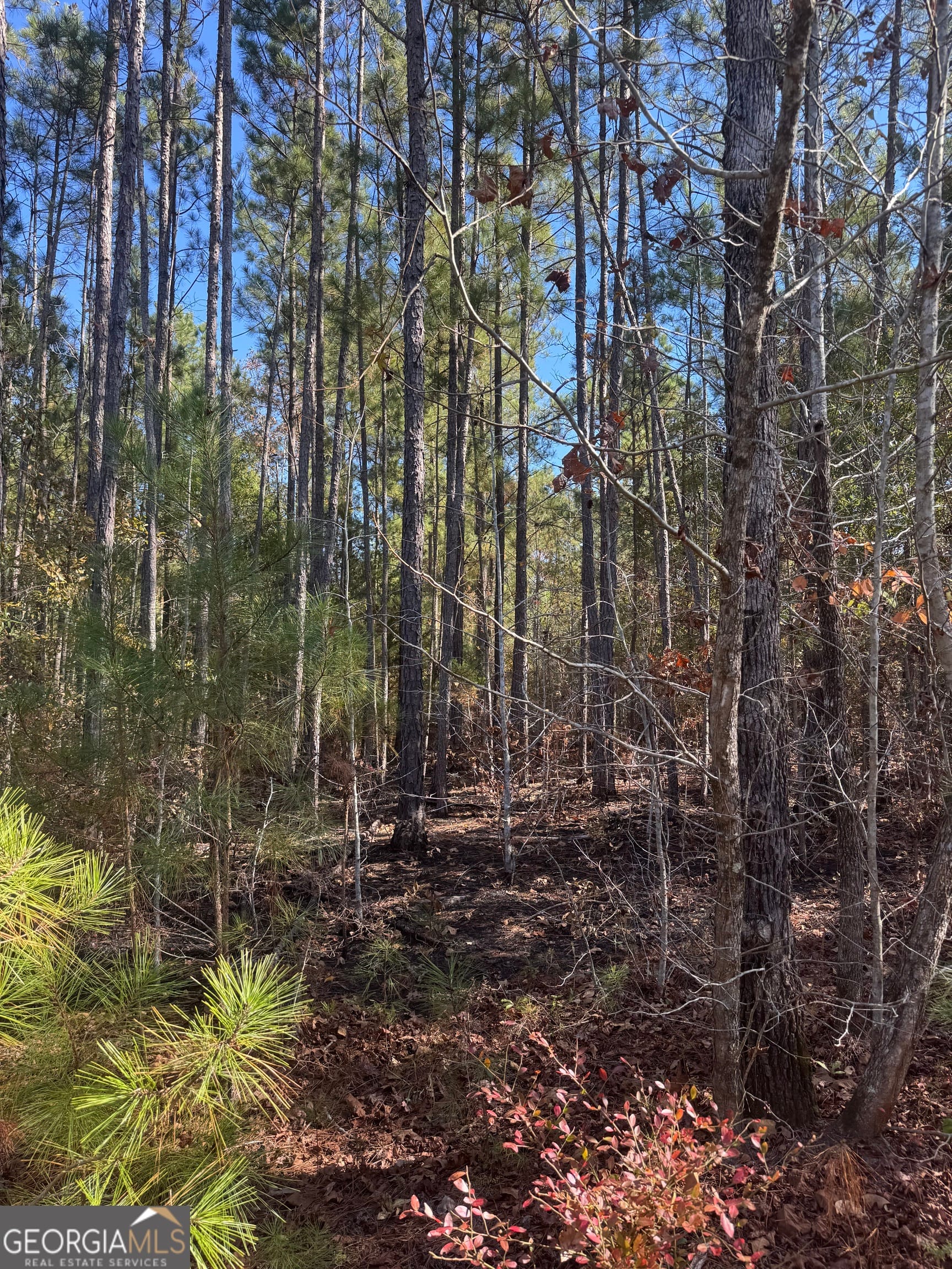 143 W Drummond Rd, West Point, GA 31833