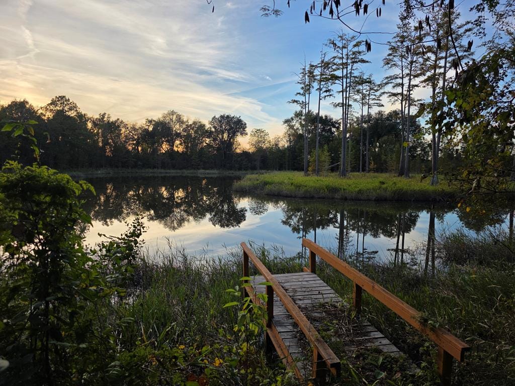 2250 Milford Road, Newton, GA, 39870