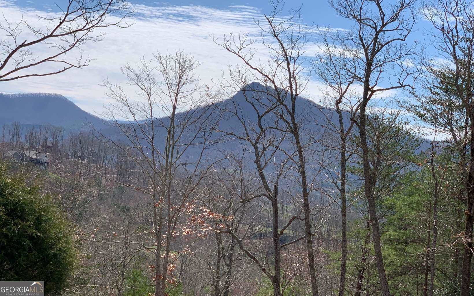 42 Dan Knob Drive, Hayesville, NC, 28904