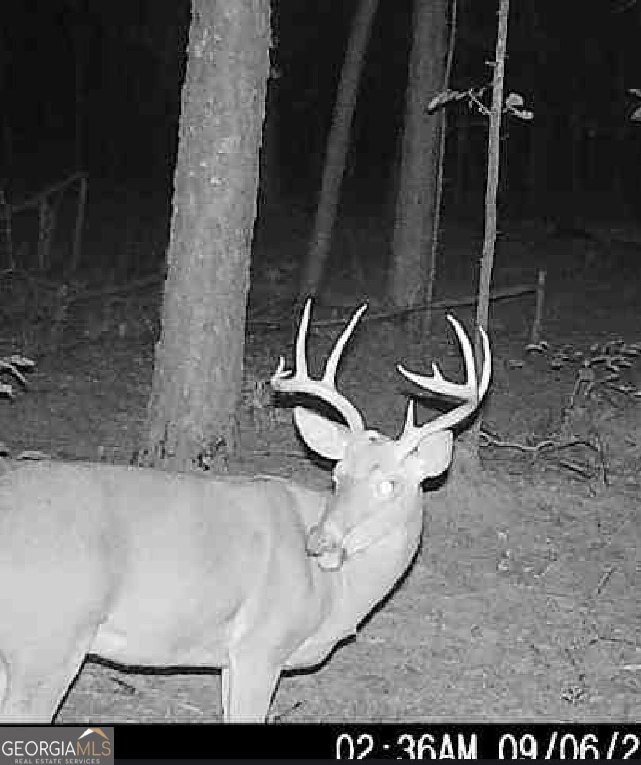 0 Joe Anthony, Senoia, GA, 30276