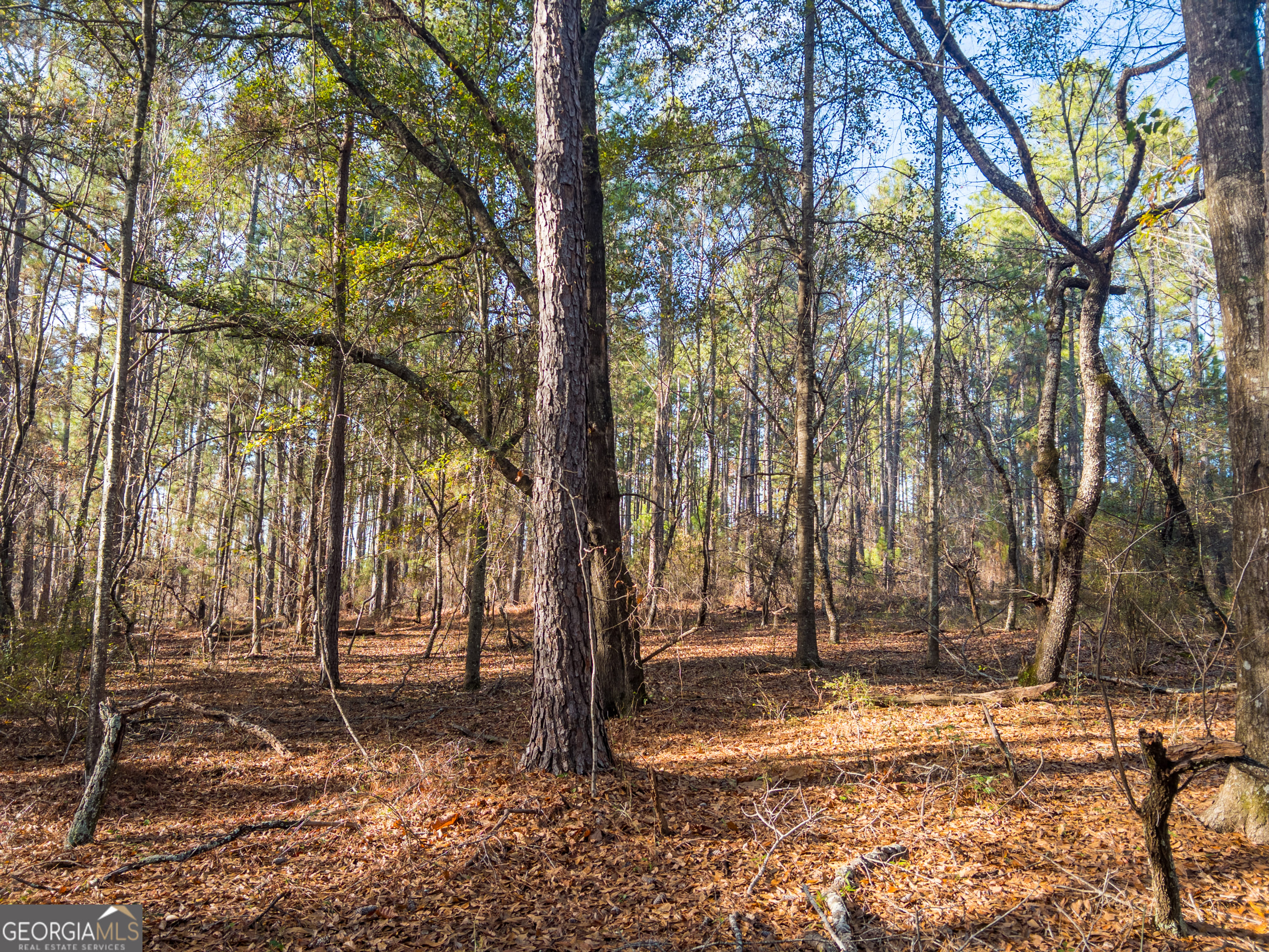 0 Roberta Hwy, Butler, GA 31006