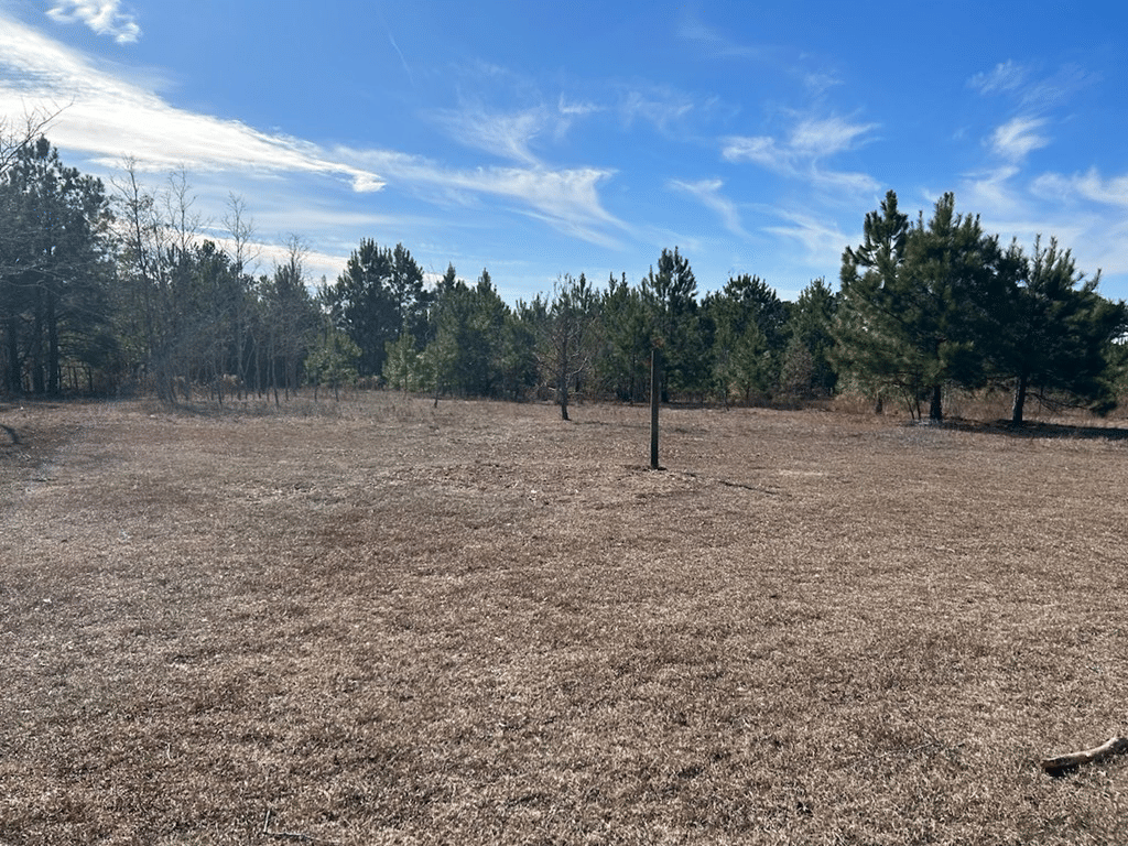 656 Bridle Path Ln, Box Springs, GA 31801, USA