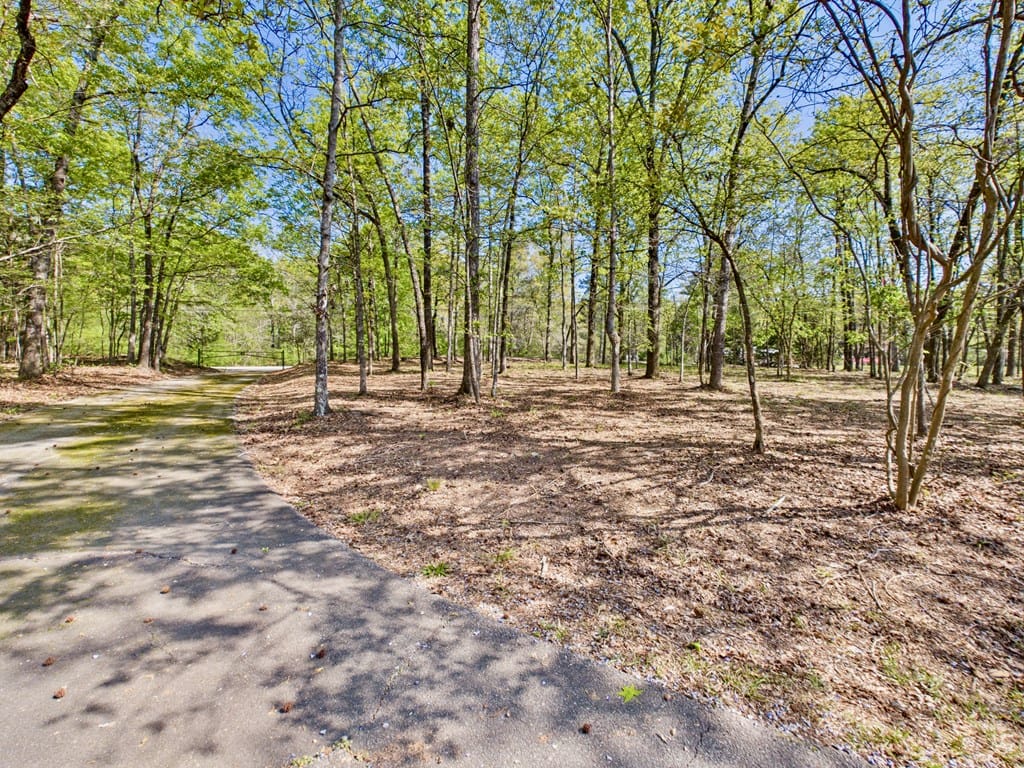 233 Ga Highway 0315, Fortson, GA, 31808 — Photo 3