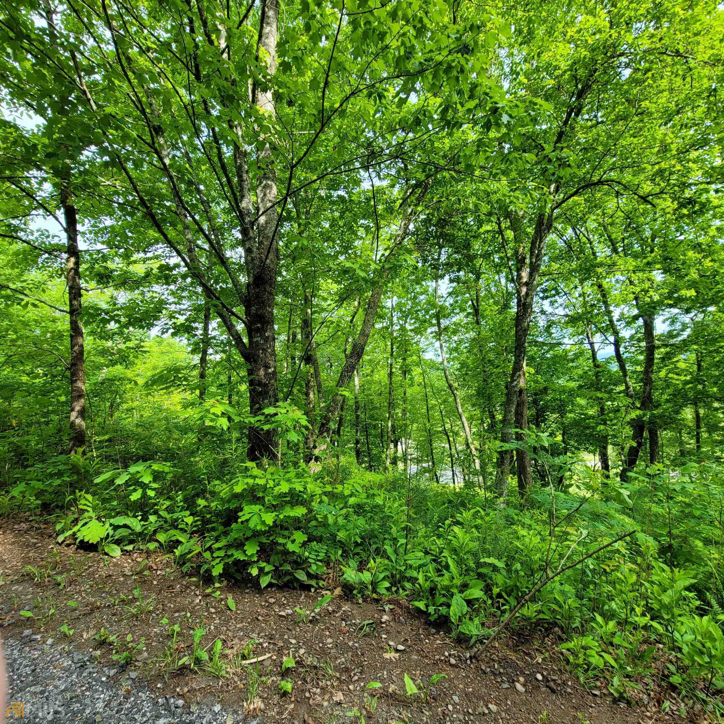 5 Oak Forest Circle, Hayesville, NC, 28904