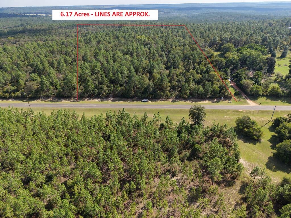 0 (6.17 Acres) Pineknot Road, Box Springs, GA, 31801