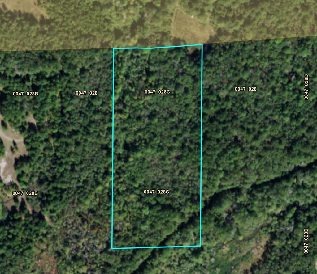 0 U.S. 319, Tifton, GA, 31794