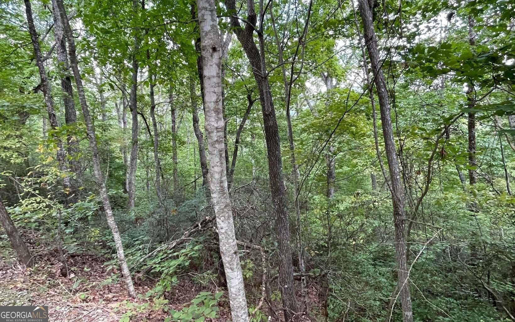 LOT 20 Enchanted Ridge, Hayesville, NC, 28904