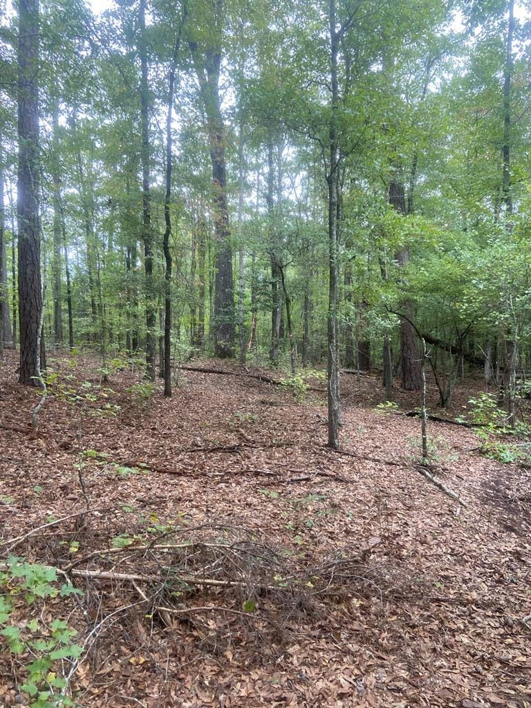 0 Mount Airy Road, Waverly Hall, GA, 31831