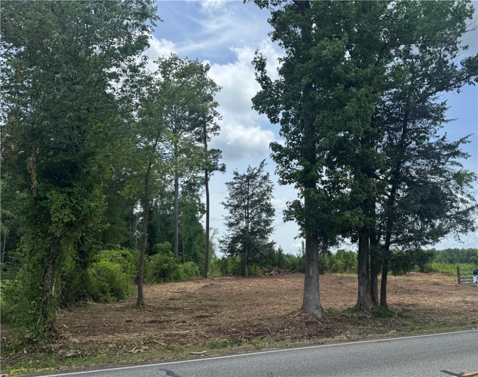 LOT 58 LEE ROAD 266, Cusseta, AL, 36852