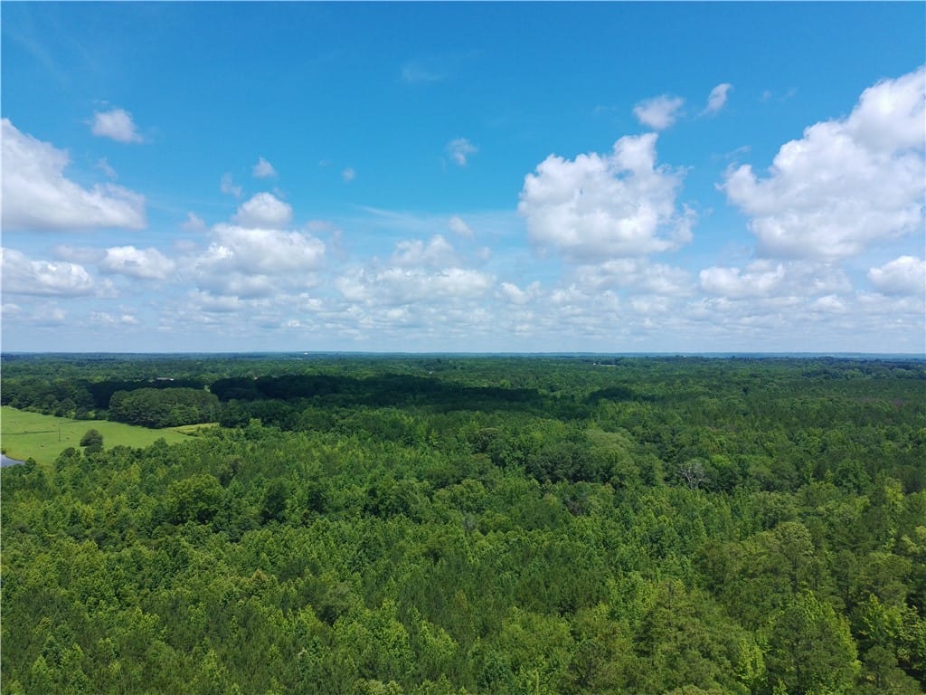 12 ACRES County Road 241, Roanoke, AL, 36274
