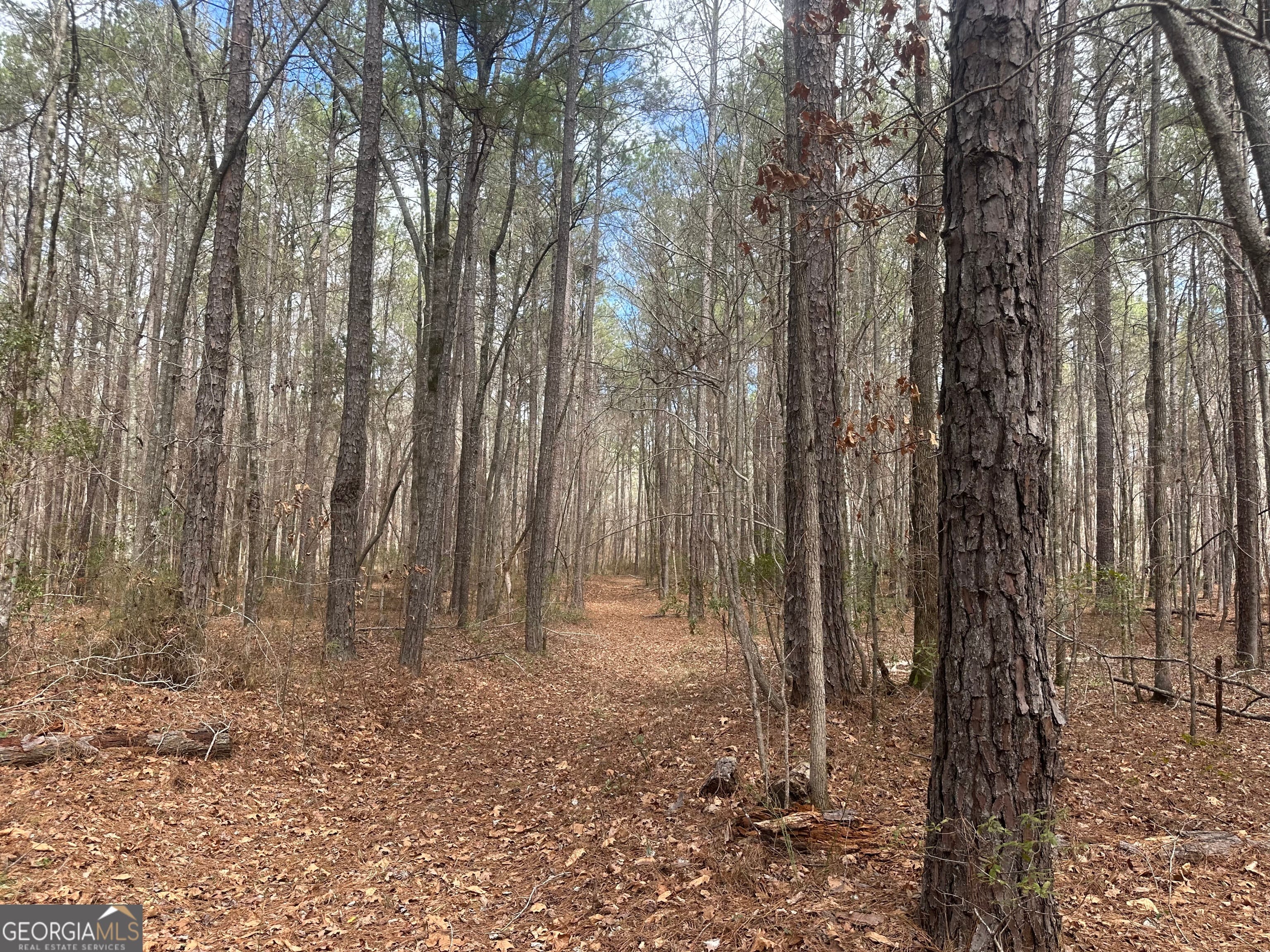 0 Gibson, Talbotton, GA, 31827