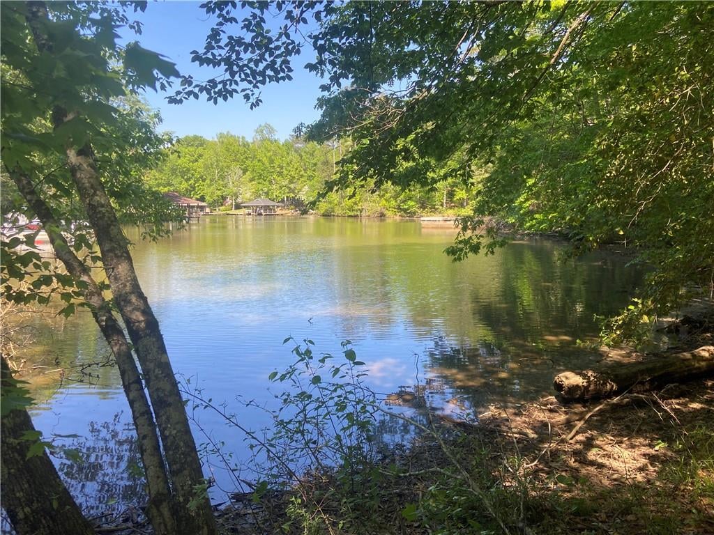 0 Lee Rd 345 13 ac, Salem, AL 36874