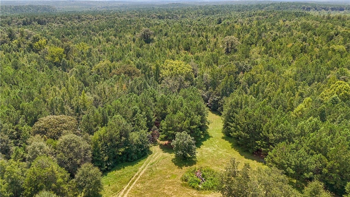 0 AL HIGHWAY 77, Roanoke, AL, 36274 — Photo 2