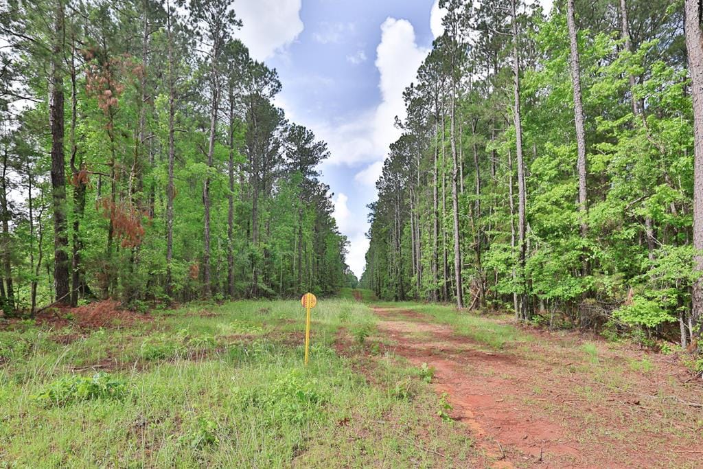 0 North Porter Road, Shiloh, GA, 31826